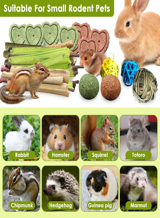 Tyotrbs 72Pcs Bunny Chew Toys with Applewood Hanging Strings, BunnyTreats for Rabbits Bunny Toys for Teeth, Papaya Stem, Timothy Stick, Apple Sticks, Sweet Bamboo, for Guinea Pig, Hamster, Chinchilla, Rat - Image 5